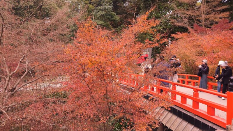 伏見稲荷大社の十石橋と紅葉の風景