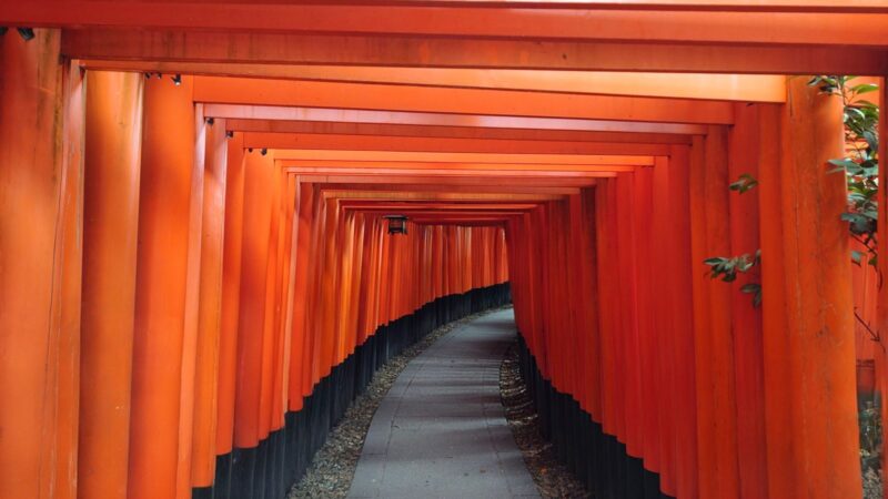 伏見稲荷大社の千本鳥居内部のトンネル