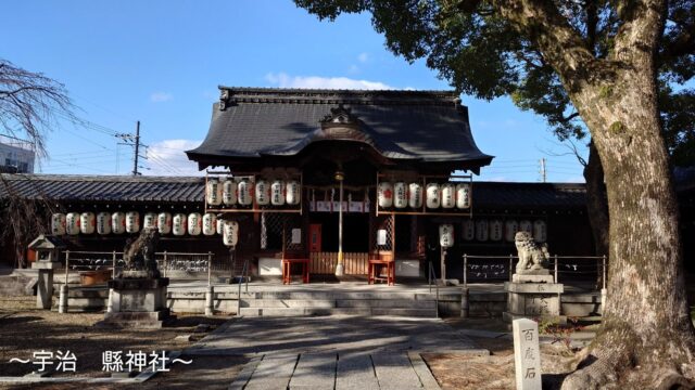提灯が数多く下がる縣神社の本殿