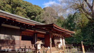 緑と青空に囲まれた宇治上神社の拝殿を斜めから撮影した風景