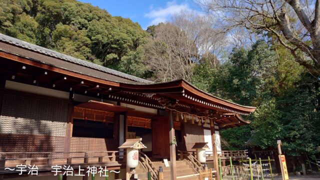 緑と青空に囲まれた宇治上神社の拝殿を斜めから撮影した風景