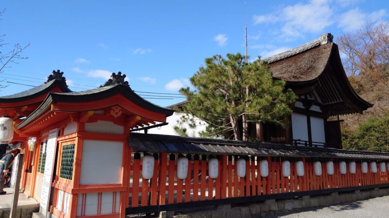 斜めから見た宇治神社の本殿と青空