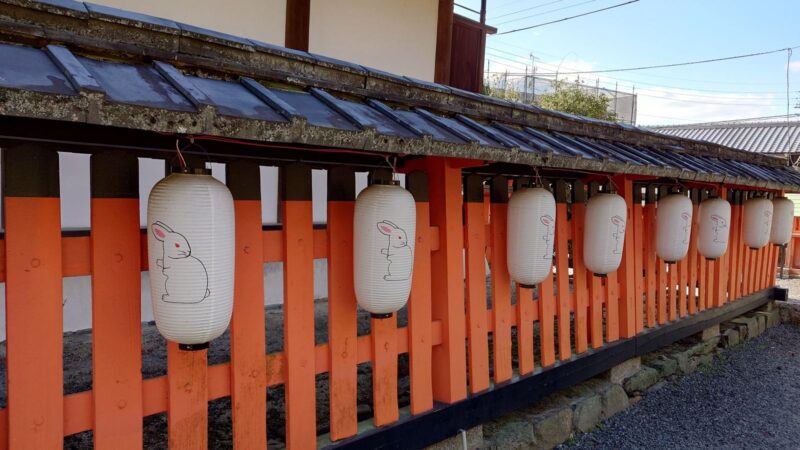 宇治神社の本殿周りに並ぶ見返り兎の提灯