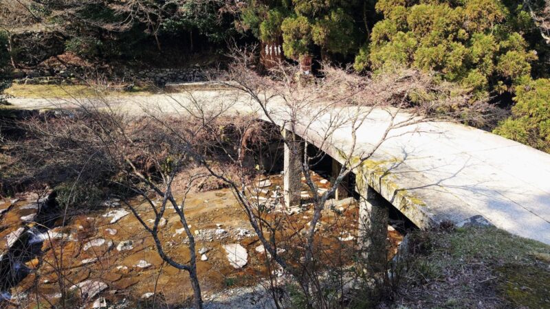日吉大社の日吉三橋のひとつ走井橋と大きな神木