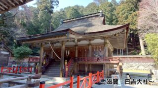 日吉大社西本宮本殿の横から見た国宝の日吉造（ひえづくり）の社殿