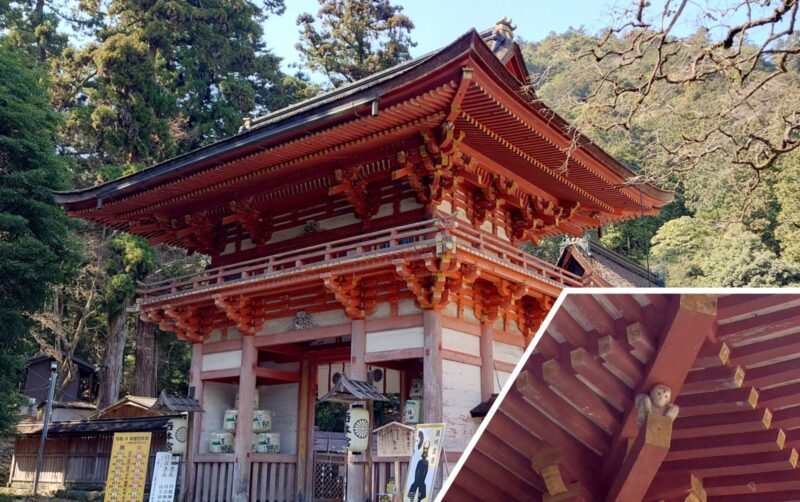 日吉大社西本宮楼門の屋根の隙間から顔をのぞかせる神猿まさる