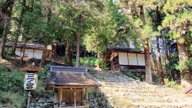 日吉大社奥宮へ続く石段と深い森に囲まれた参道