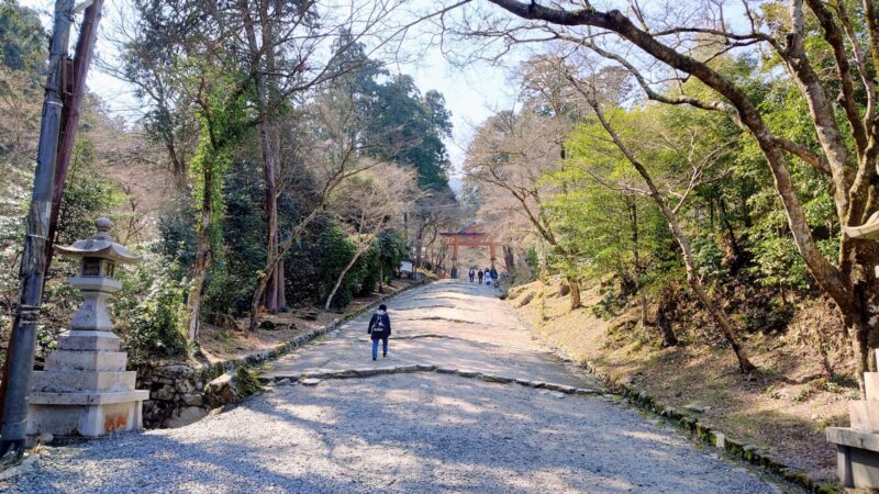 日吉大社の参道の先に見える山王鳥居と豊かな自然