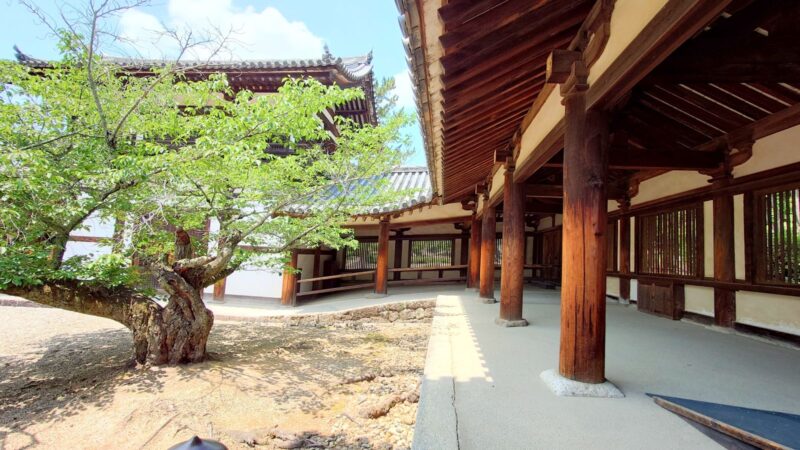 中央が膨らんだエンタシスの柱が並ぶ法隆寺の回廊と、中庭の新緑の木