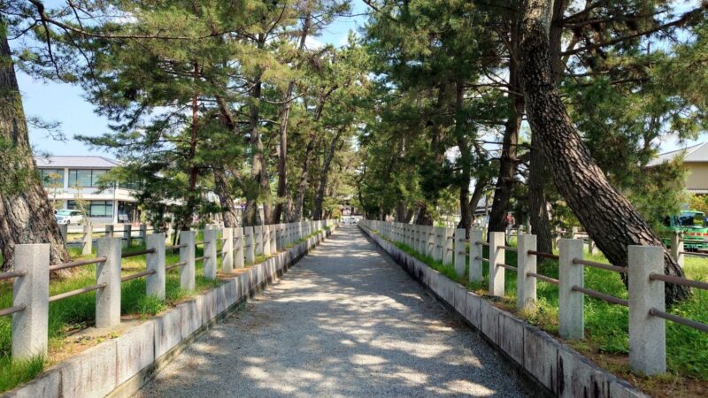 両側に立派な松の木が並ぶ、法隆寺の静かな砂利道の参道