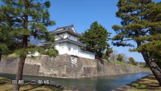 二条城の堀と石垣、その先に建つ隅櫓