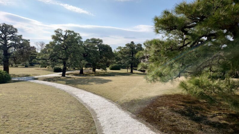 やわらかな日差しに包まれた二条城の二の丸庭園