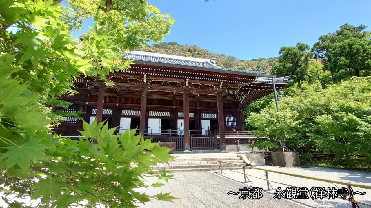 新緑に包まれた京都・永観堂（禅林寺）の御影堂