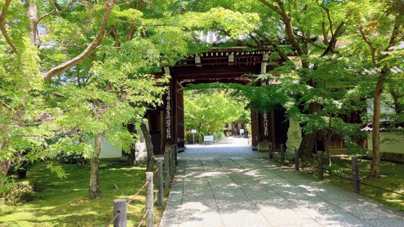 青もみじに包まれた永観堂（禅林寺）の門と境内の参道
