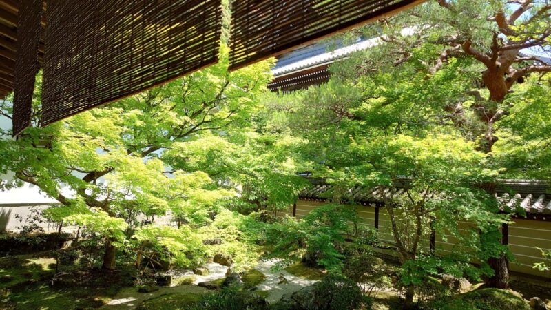 永観堂（禅林寺）の諸堂に囲まれた中庭と青もみじの庭園
