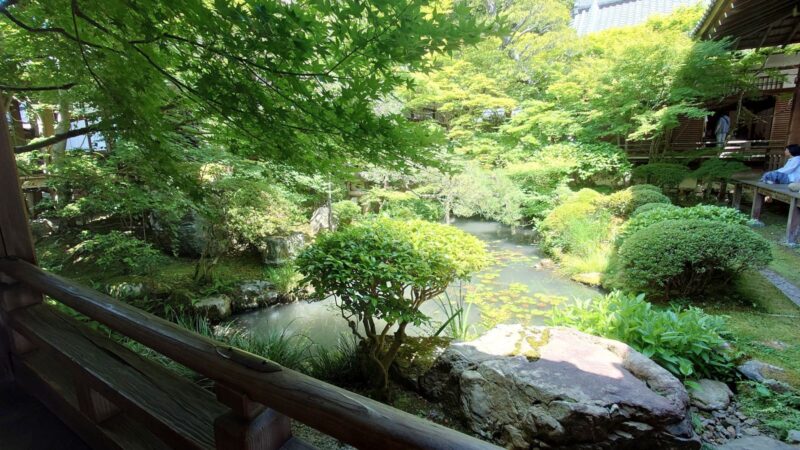 永観堂（禅林寺）の中庭にある池と青もみじの庭園