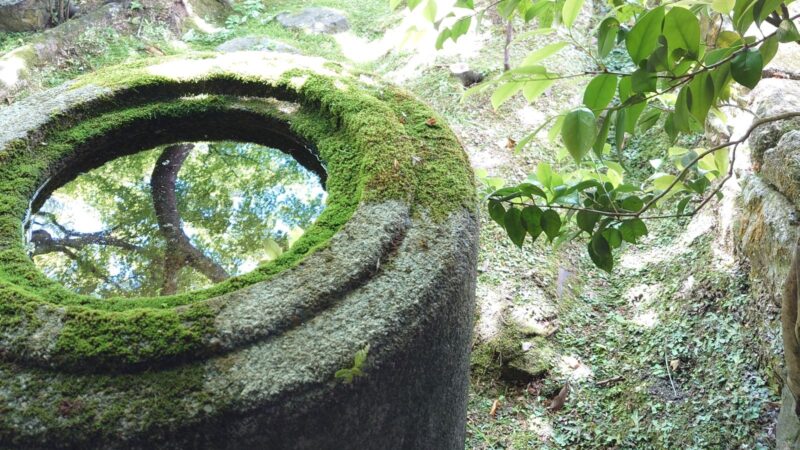 禅林寺の諸堂内に広がる苔と木々の静かな境内風景