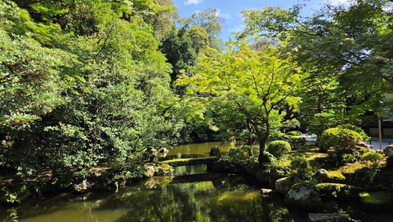 知恩院の方丈庭園にある池と苔むした石橋