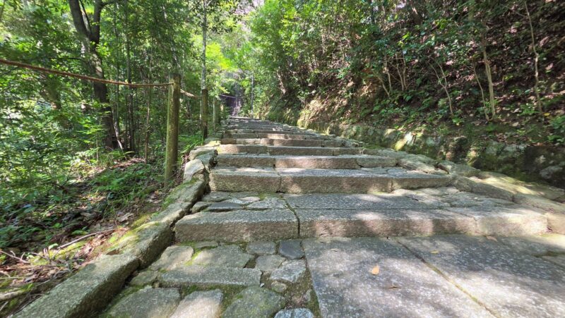 知恩院の方丈庭園から勢至堂へ続く木々に覆われた石段
