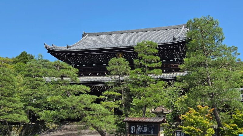 東山の木々を背に建つ知恩院の三門