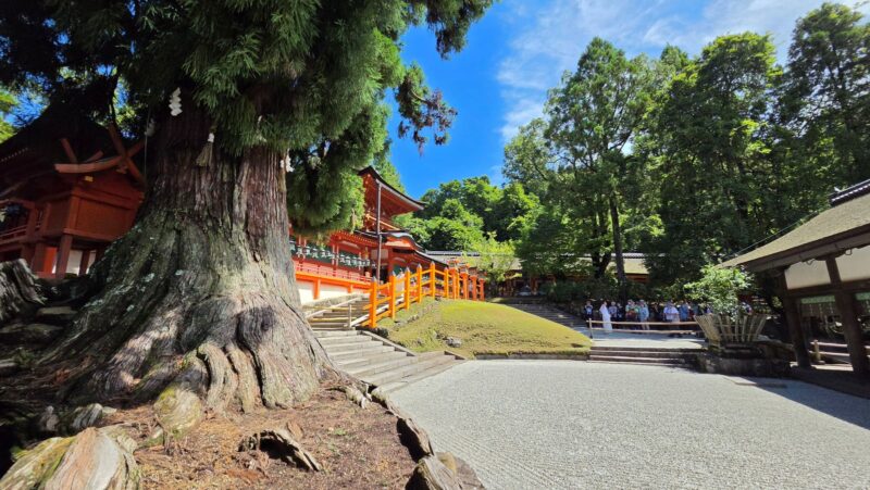 白砂利が敷き詰められ輝く春日大社の社殿前にある林檎の庭