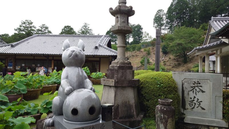 三室戸寺境内にある大きな御影石の兎像