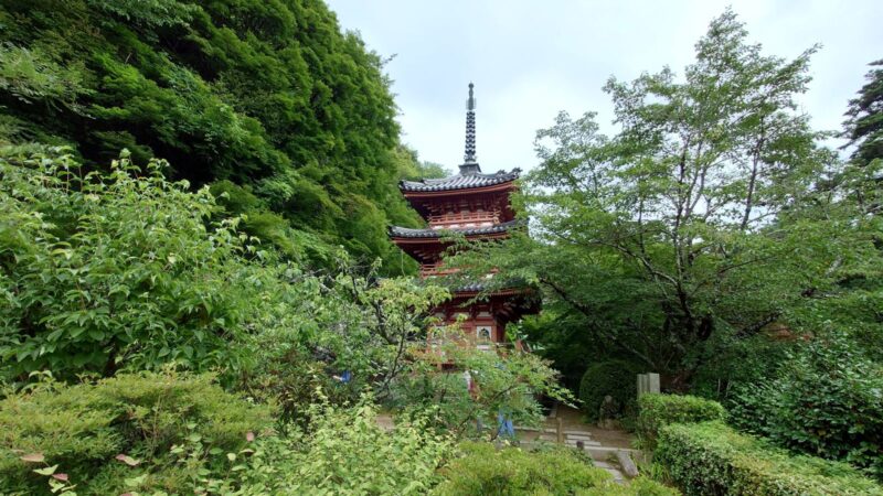 木々に囲まれた三室戸寺の三重塔